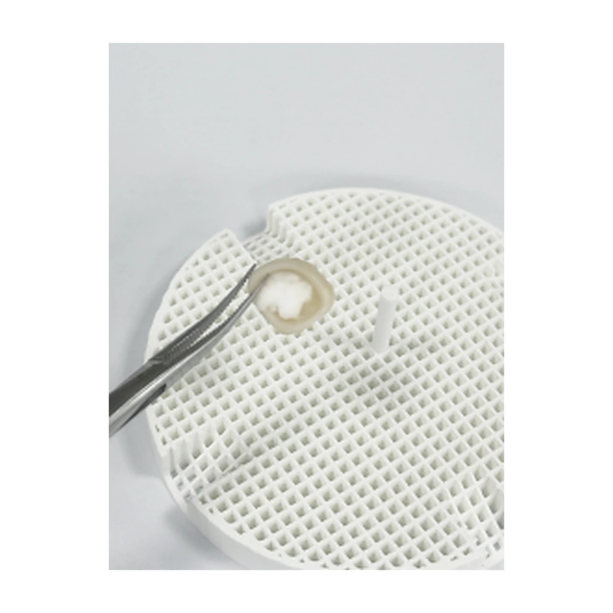 Rondcera Firing Paste, görünüm 9